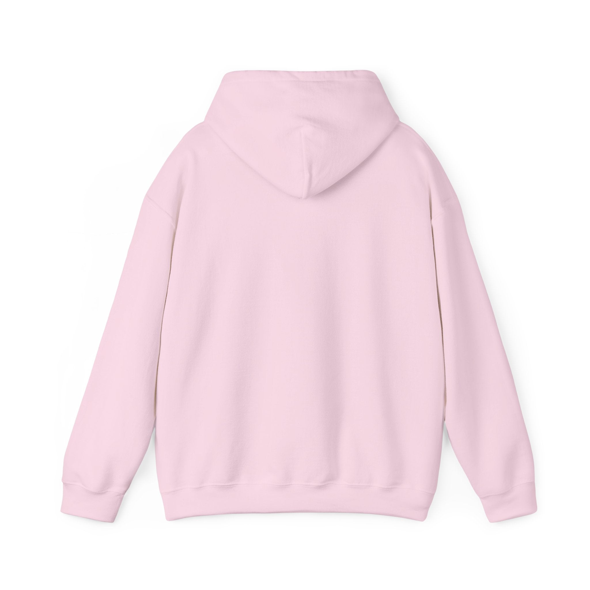 'I Don't Carry Everything' Heavy Blend™ Hooded Sweatshirt